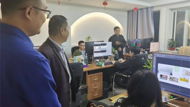 品牌设计公司项目案例解析：揭秘成功之道