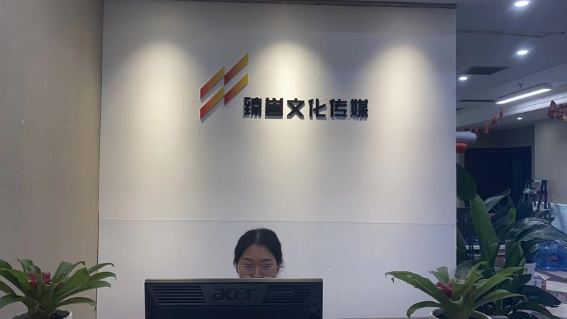 影视制作许可证办理：费用构成与关键考量